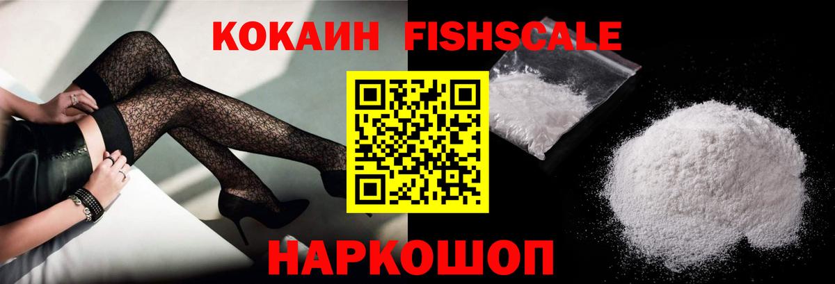 продажа наркотиков  COCAIN  КОКАИН 99%  Губаха  КОКАИН Fish Scale 