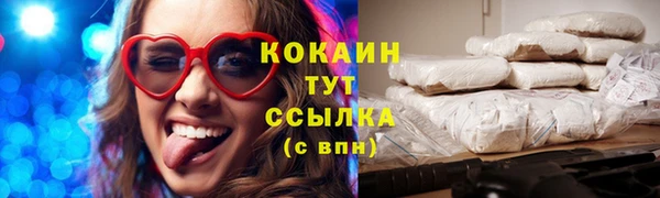 спайс Пересвет