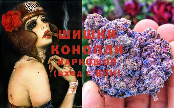 спайс Пересвет