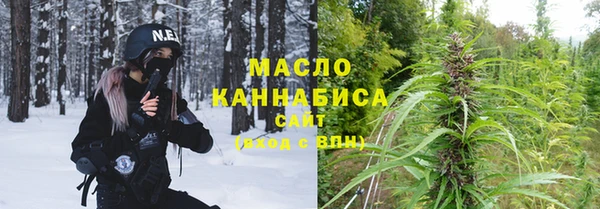 гидра Туринск