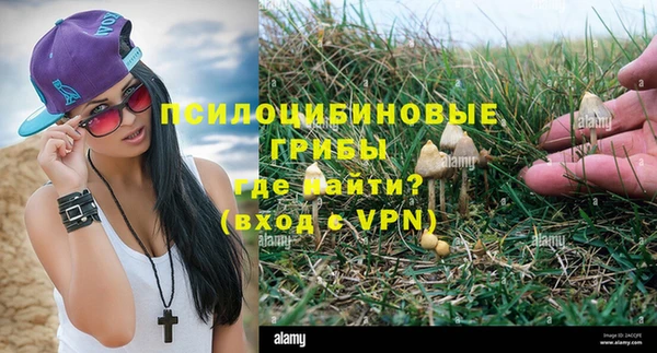 спайс Пересвет