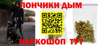 молекула духа Будённовск