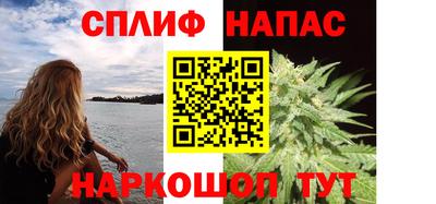 молекула духа Будённовск