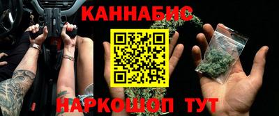 молекула духа Будённовск