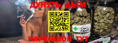 молекула духа Будённовск