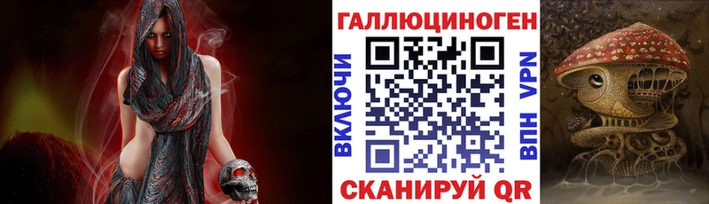 гидра ССЫЛКА  даркнет сайт  Губаха  Галлюциногенные грибы Psilocybe 