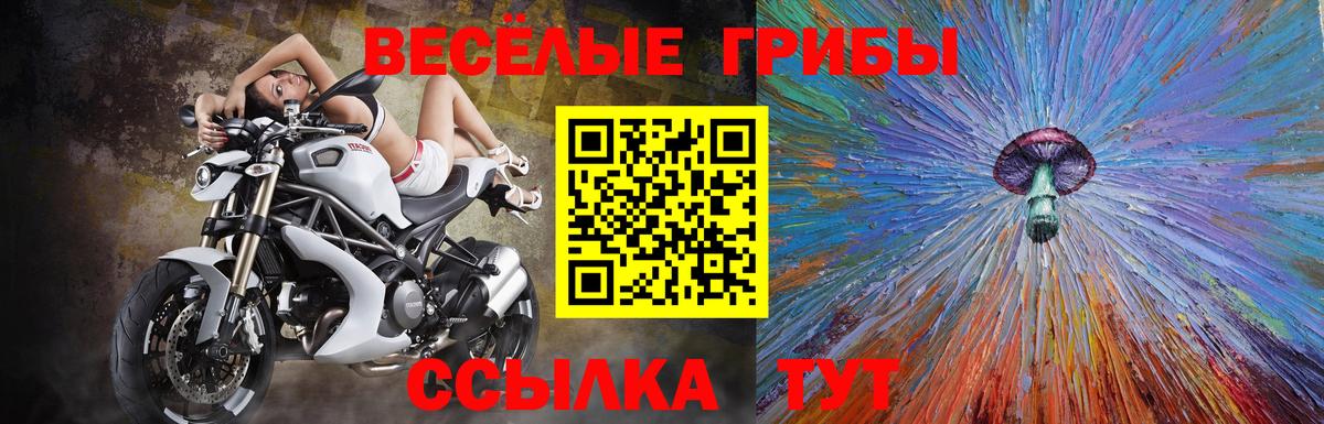 Губаха  Галлюциногенные грибы мицелий  Вход с VPN  Псилоцибиновые грибы прущие грибы 