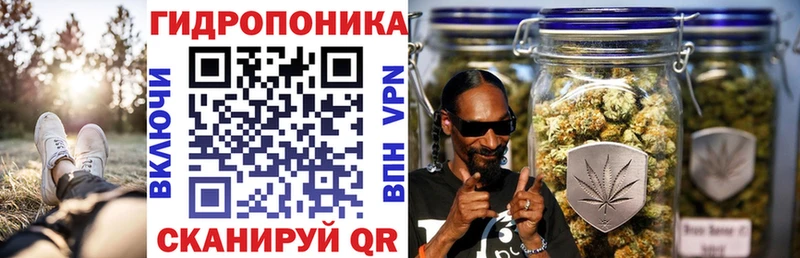 наркотики  Губаха  дарк нет официальный сайт  Бошки Шишки Ganja 