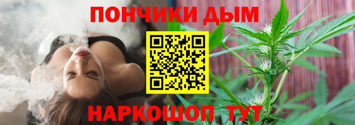 Бошки марихуана конопля  Конопля Bruce Banner  Вход с VPN  Губаха 